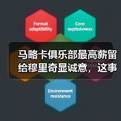马略卡俱乐部最高薪留给穆里奇显诚意，这事比想象的更疯狂（图3）