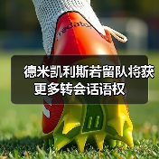德米凯利斯若留队将获更多转会话语权(图3) 德米凯利斯若留队将获更多转会话语权(图3)