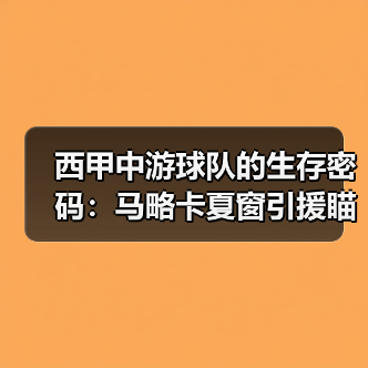 西甲中游球队的生存密码:马略卡夏窗引援瞄准自由球员市场(图2) 西甲中游球队的生存密码:马略卡夏窗引援瞄准自由球员市场(图2)