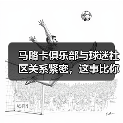 马略卡俱乐部与球迷社区关系紧密,这事比你想的复杂(图3) 马略卡俱乐部与球迷社区关系紧密,这事比你想的复杂(图3)