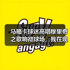 马略卡球迷高唱穆里奇之歌响彻球场，我在现场起了一身鸡皮疙瘩（图3）