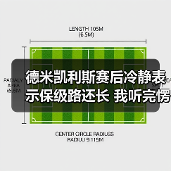 德米凯利斯赛后冷静表示保级路还长 我听完愣在电脑前十分钟(图2) 德米凯利斯赛后冷静表示保级路还长 我听完愣在电脑前十分钟(图2)