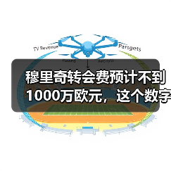 穆里奇转会费预计不到1000万欧元,这个数字让我愣了半天(图4) 穆里奇转会费预计不到1000万欧元,这个数字让我愣了半天(图4)