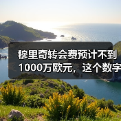 穆里奇转会费预计不到1000万欧元,这个数字让我想起一件事(图4) 穆里奇转会费预计不到1000万欧元,这个数字让我想起一件事(图4)