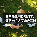 皇马输球别怪裁判了,马略卡这块菜地连草都是“反皇马”的(图2) 皇马输球别怪裁判了,马略卡这块菜地连草都是“反皇马”的(图2)