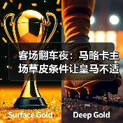 客场翻车夜:马略卡主场草皮条件让皇马不适应(图2) 客场翻车夜:马略卡主场草皮条件让皇马不适应(图2)