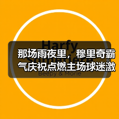 那场雨夜里，穆里奇霸气庆祝点燃主场球迷激情的三个瞬间（图2）